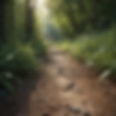 Nature's Path to Recovery Nature's Path to Recovery