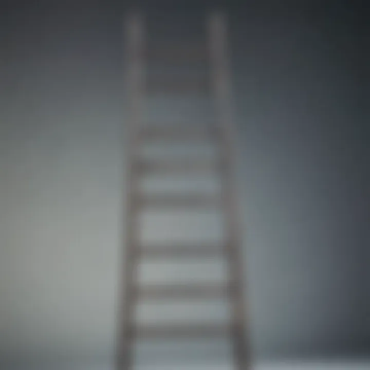 Illustration of a ladder symbolizing progress in self-acceptance