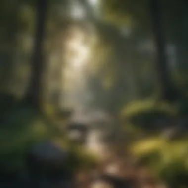 Tranquil Nature Setting Tranquil nature setting
