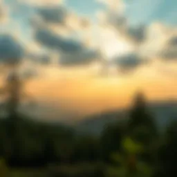 A serene landscape depicting nature's beauty