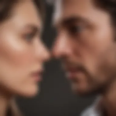 Understanding Infidelity Dynamics Abstract representation of infidelity dynamics