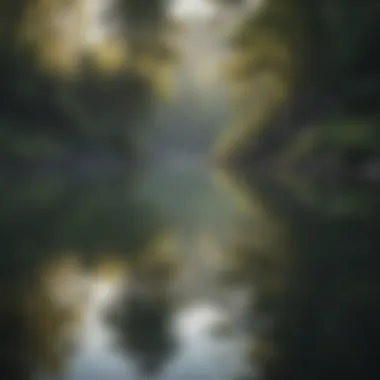 Reflection in Tranquil Lake