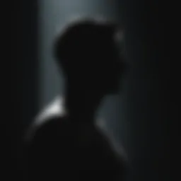 Mysterious Silhouette in Shadow