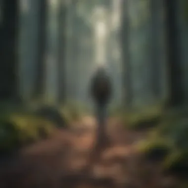 Man walking alone in a serene forest