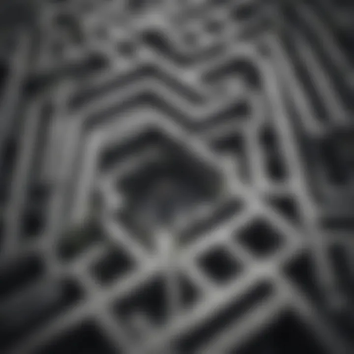 Male Figure in a Maze