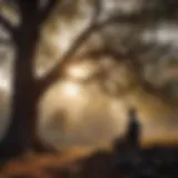 Silhouette of a person meditating under a tree