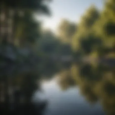 Reflective Serenity: Tranquility Within Mental Wellness Reflection Pond