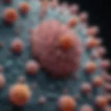 Microscopic view of herpes virus particles under electron microscope