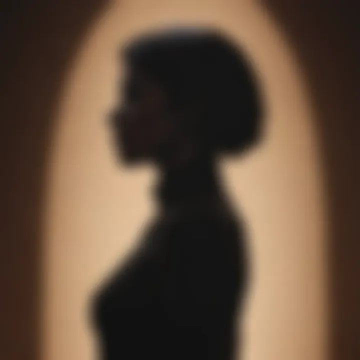 A mysterious silhouette representing potential cheating