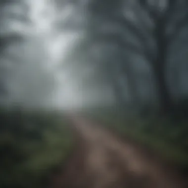 A path leading through a dense fog symbolizing uncertainty