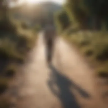 Pathway leading to a happier marital relationship