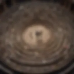 A labyrinth symbolizing the complexities of living with a narcissistic partner.