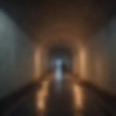 Finding light at the end of the tunnel Pathway leading to a brighter future beyond a narcissistic relationship