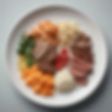 The Perfectly Balanced Macronutrient Plate Balanced meal plate showcasing macronutrients