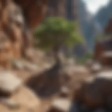 Cultivating Inner Strength A tree growing amidst rocky terrain depicting resilience and growth