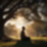 Silhouette of person meditating under a tree