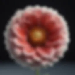 Floral symbol of femininity