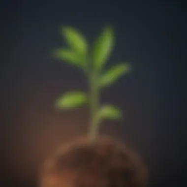 Illustration of a seed sprouting into a plant representing growth and potential