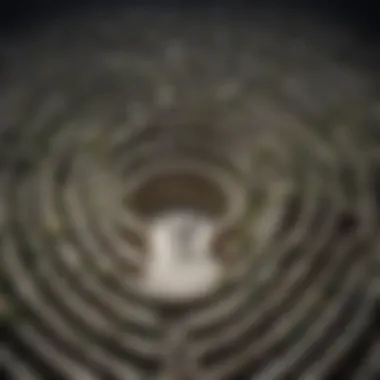 Finding the Way: Healing from Marital Infidelity Illustration of a maze symbolizing the challenging journey towards healing after betrayal